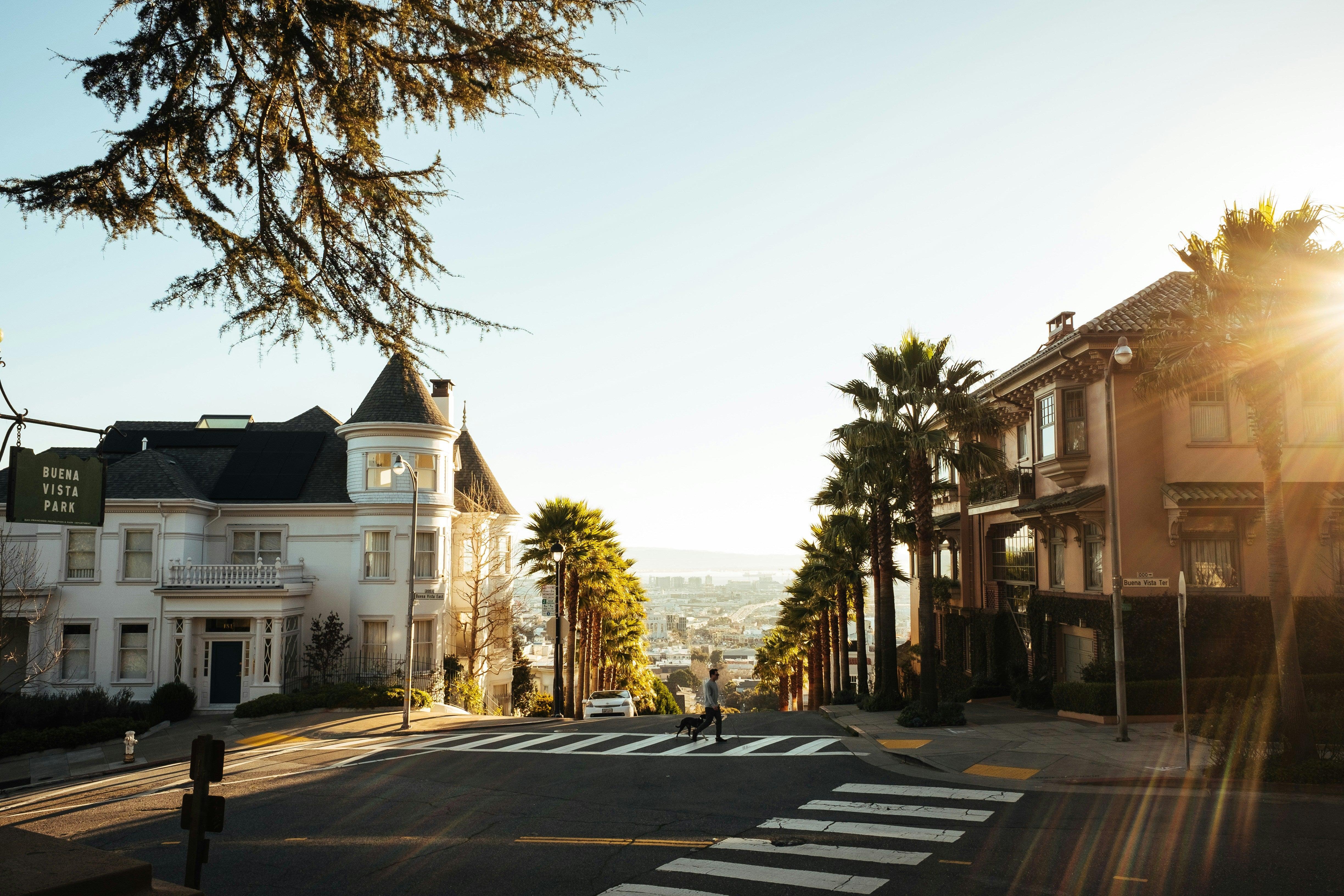 A sunlit San Francisco intersection near Buena Vista Park, with palm-lined streets, historic houses, and a pedestrian crossing.